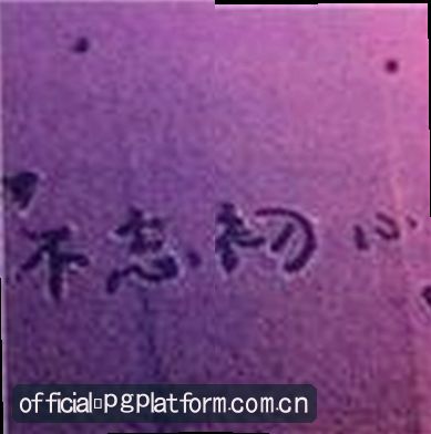 郑雨